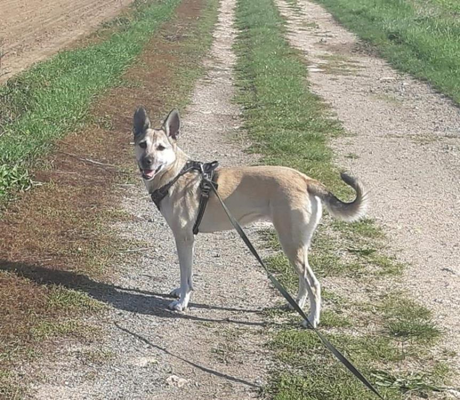 Photo #6 de Bonny