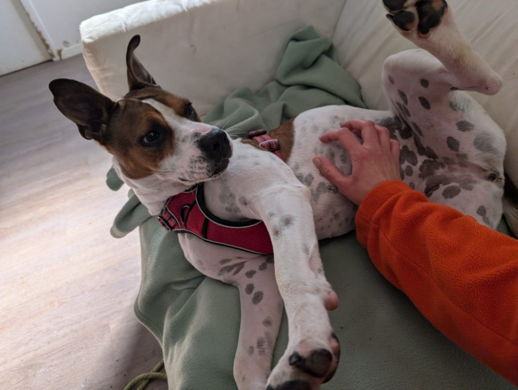 Photo #7 de Betty