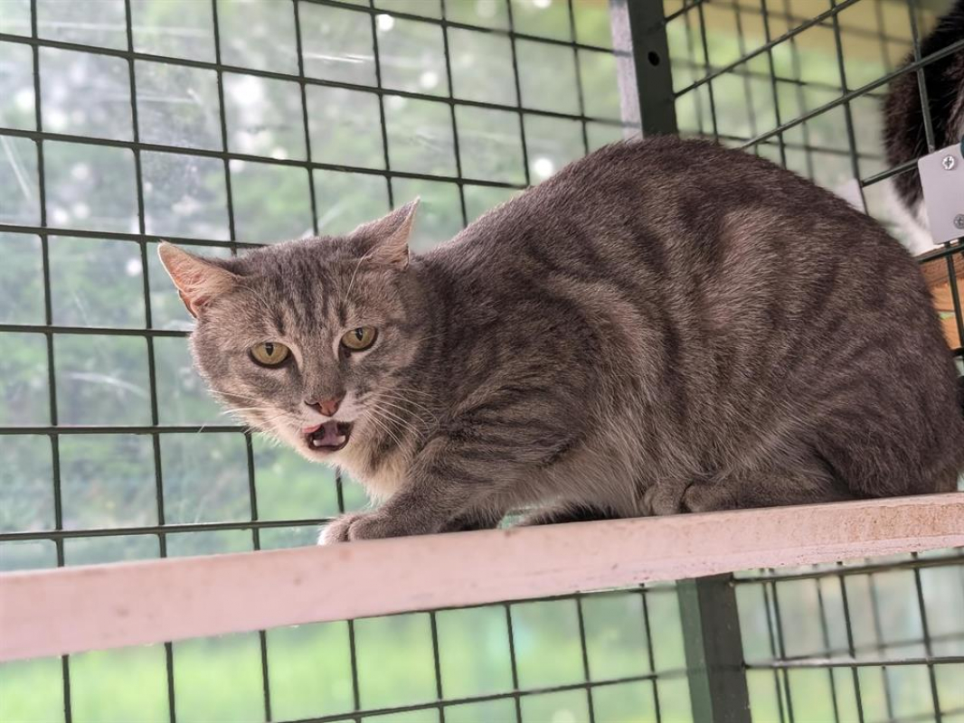 Photo #4 de Burberry