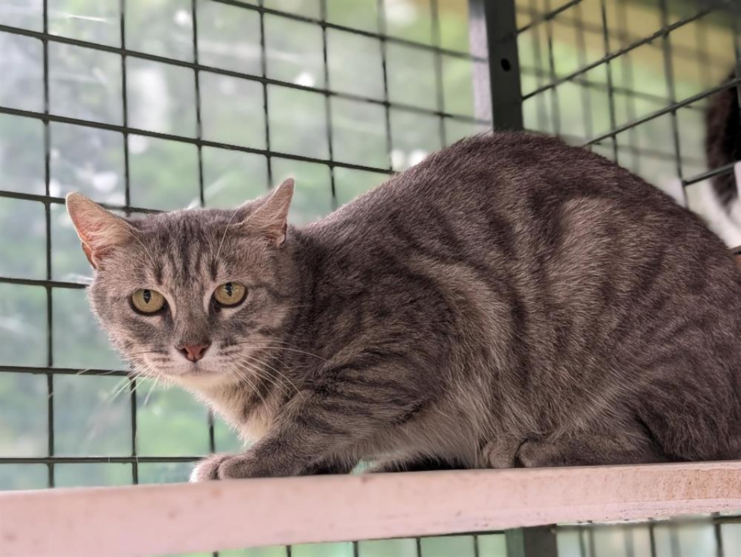 Photo #1 de Burberry