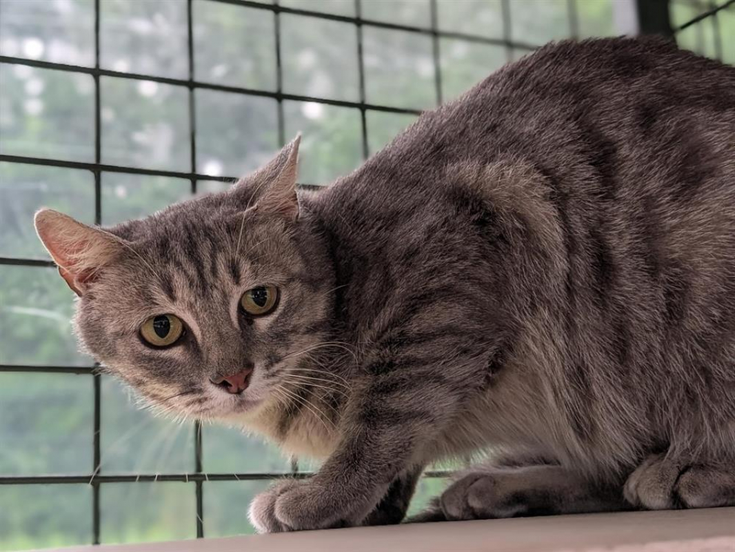 Photo #2 de Burberry