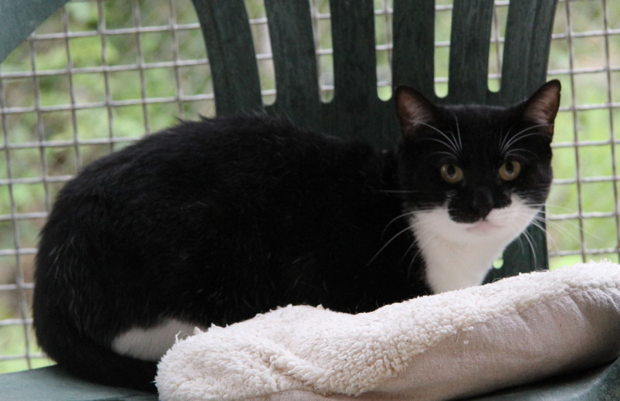 Photo #1 de Roudoudou