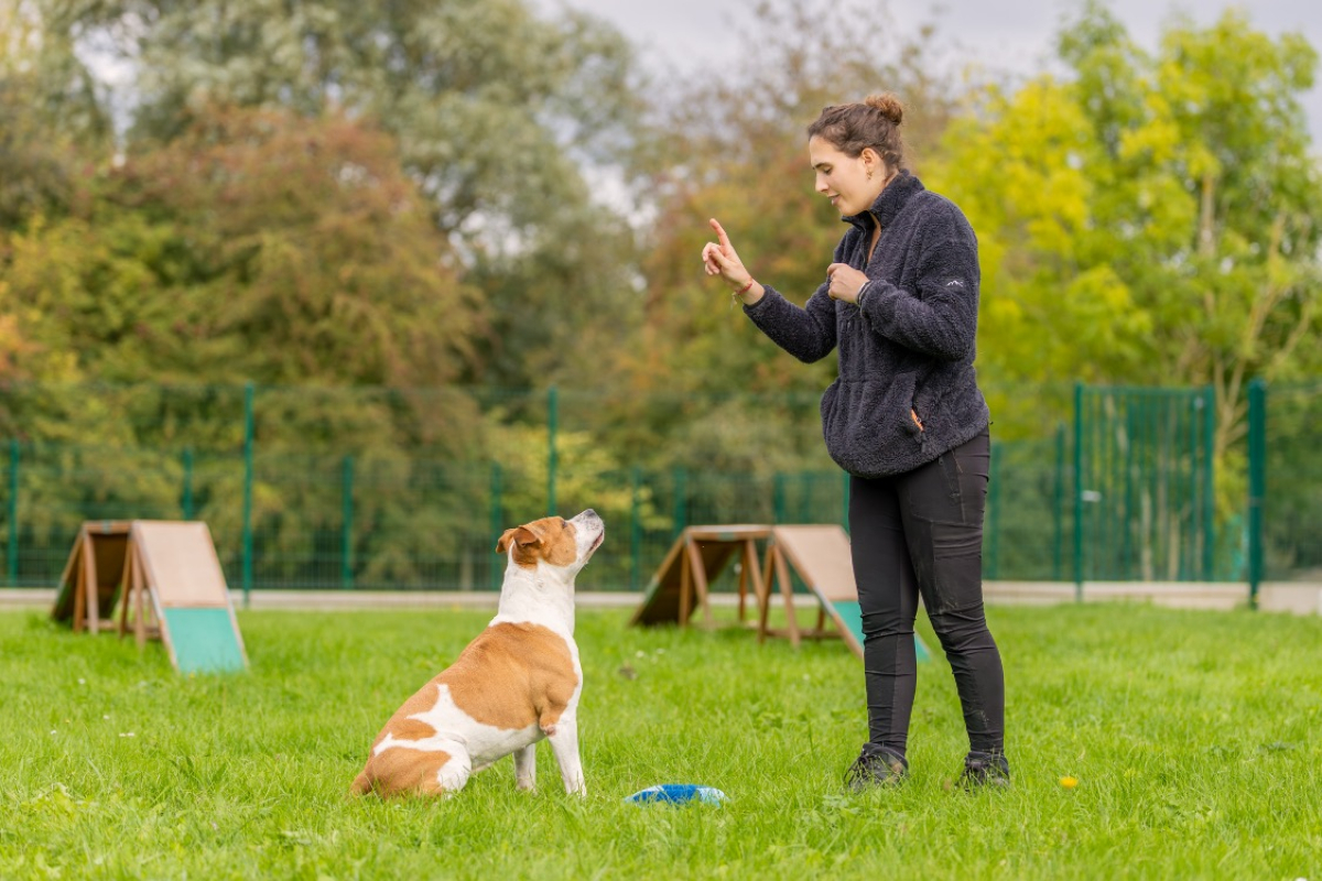 Photo #10 de MaÏnna