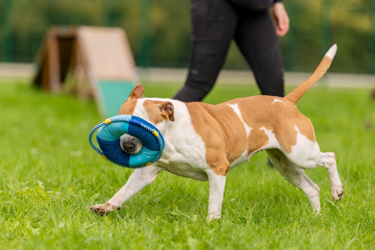 Photo #11 de MaÏnna