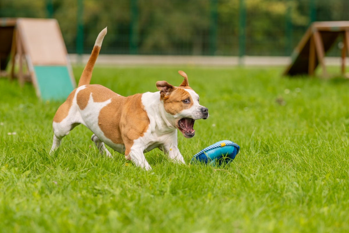 Photo #12 de MaÏnna