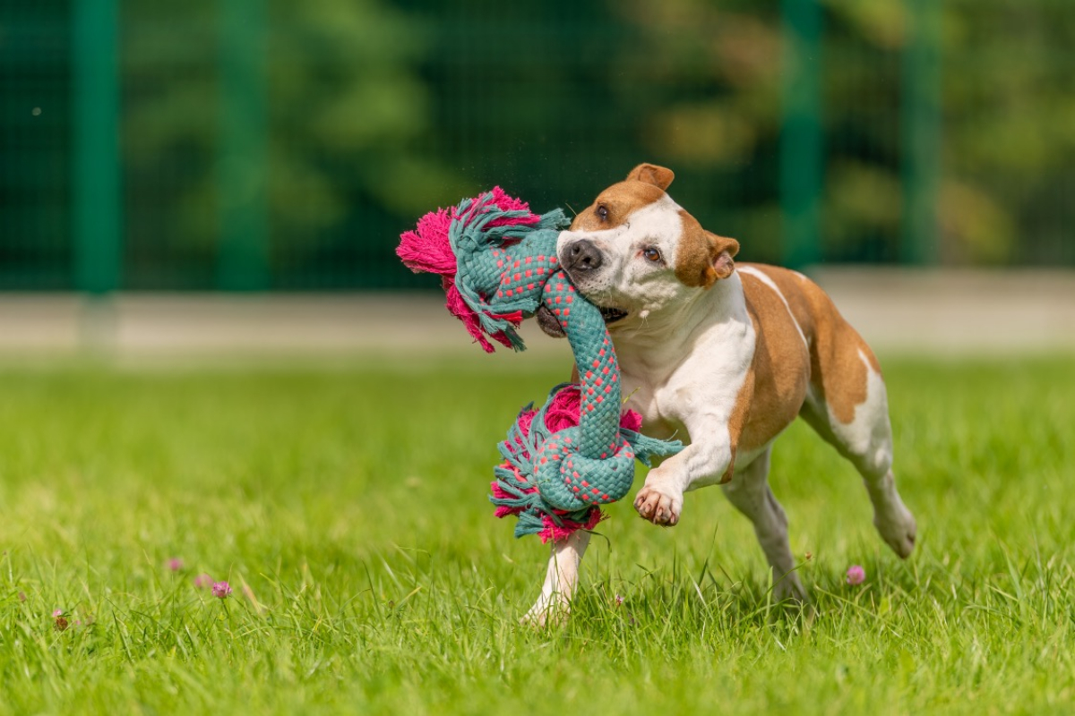 Photo #14 de MaÏnna