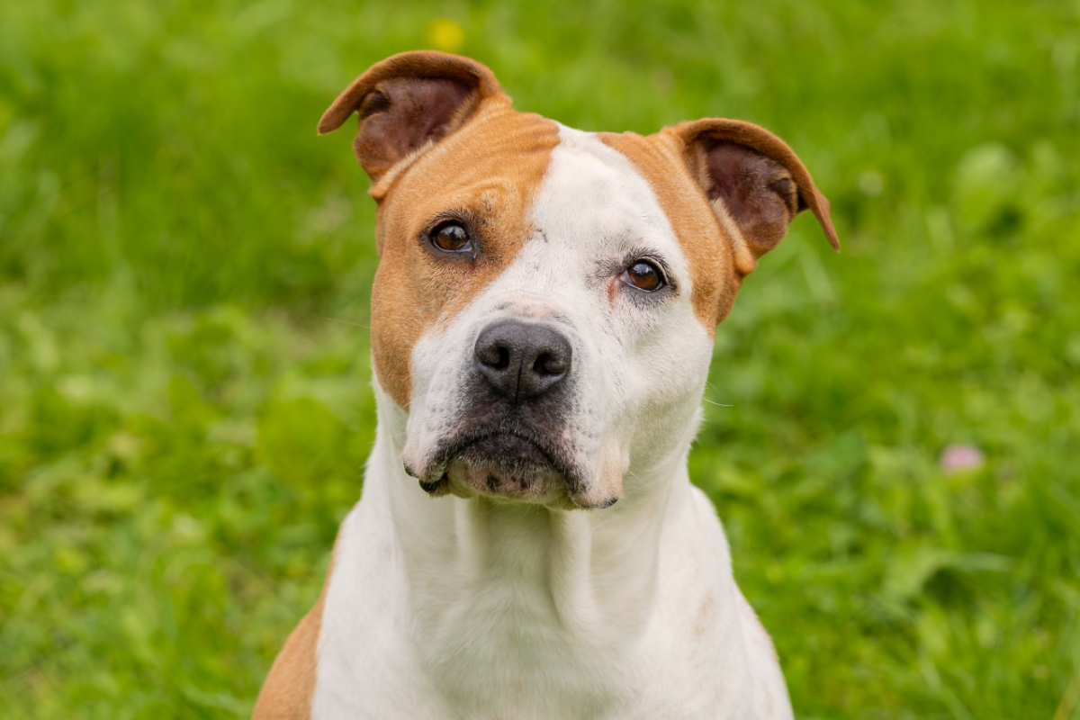 Photo #17 de MaÏnna