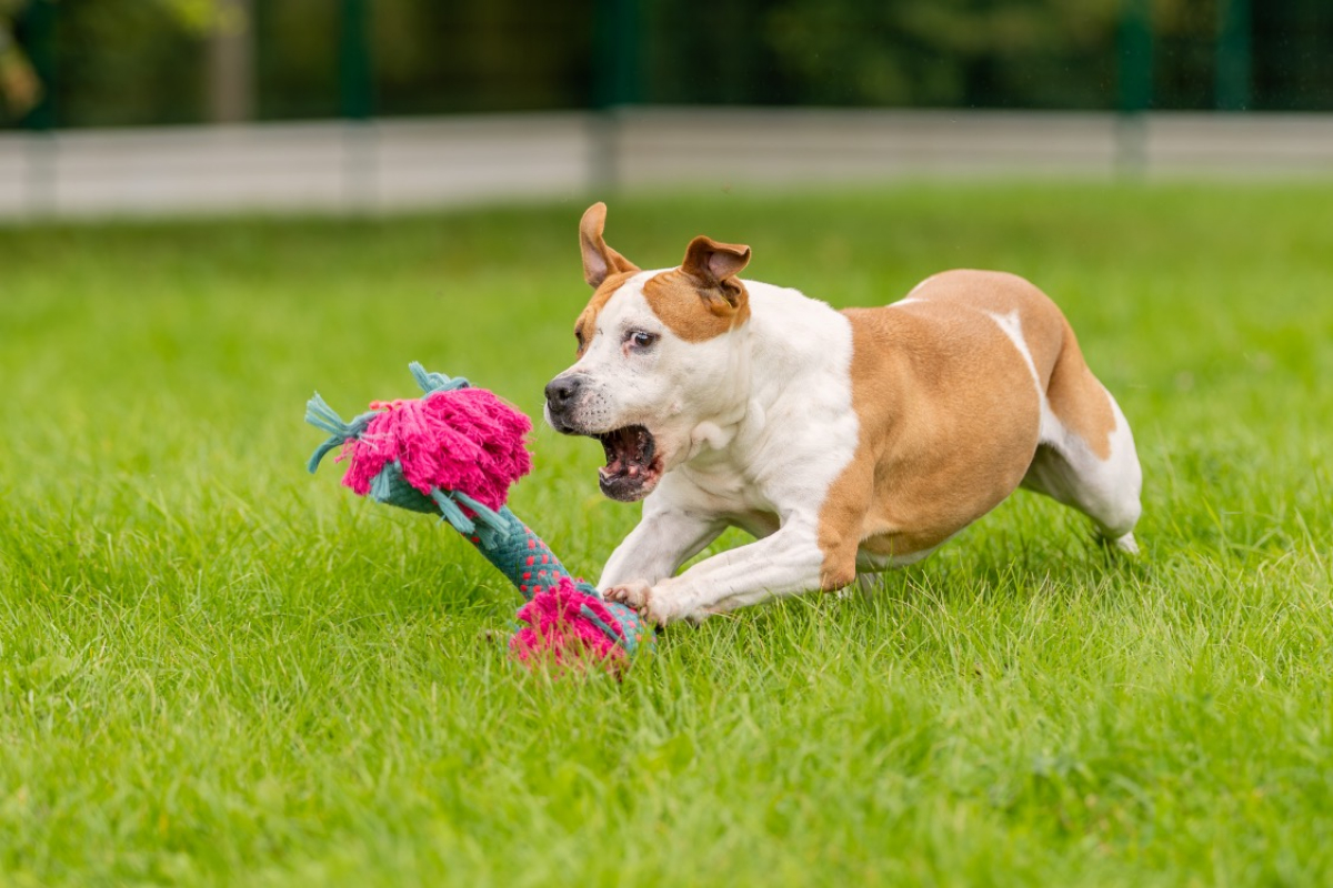 Photo #18 de MaÏnna