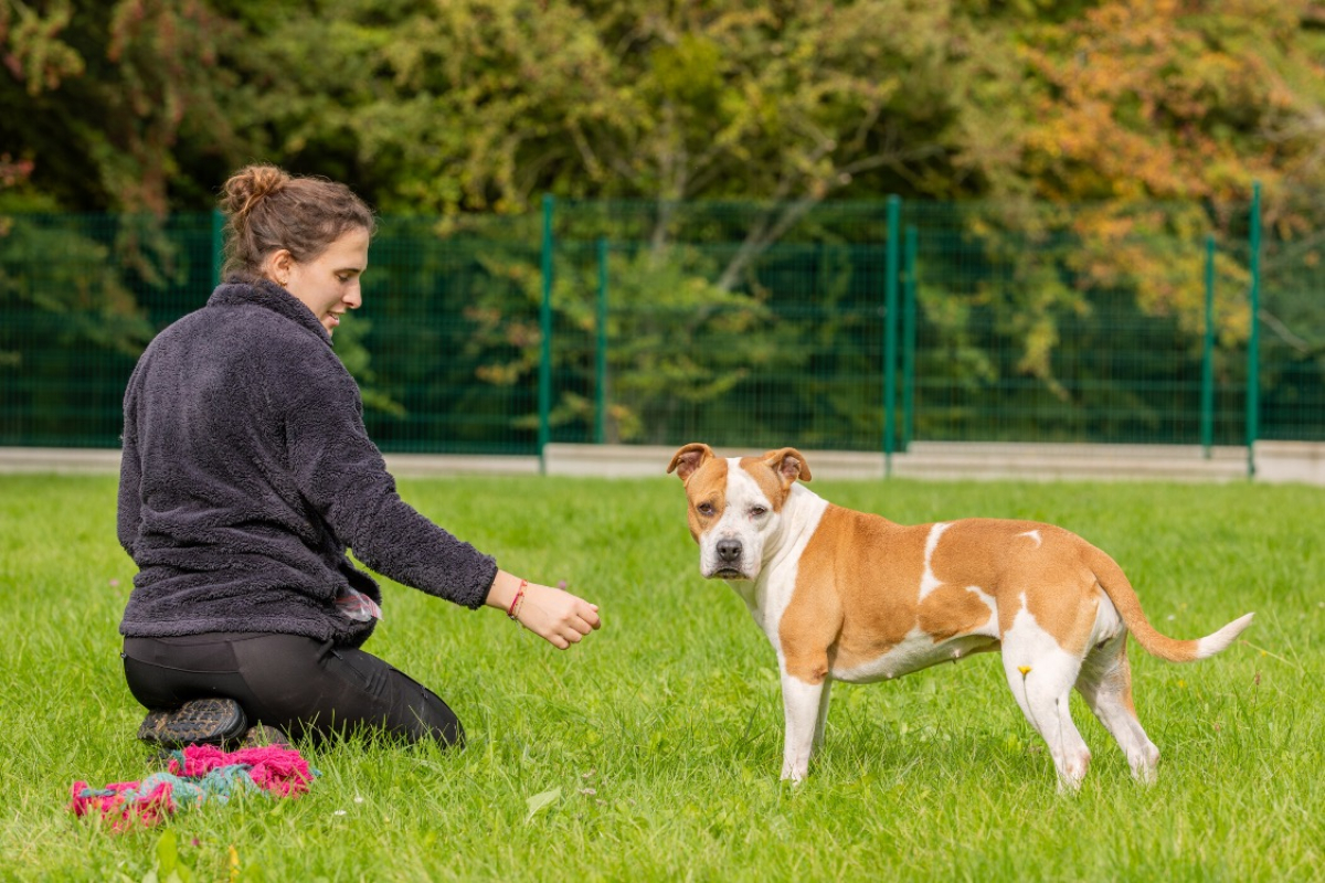 Photo #11 de MaÏnna