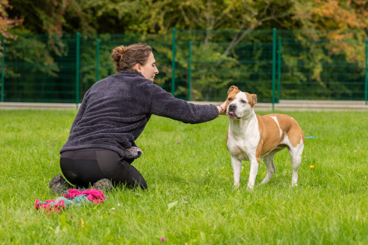 Photo #12 de MaÏnna