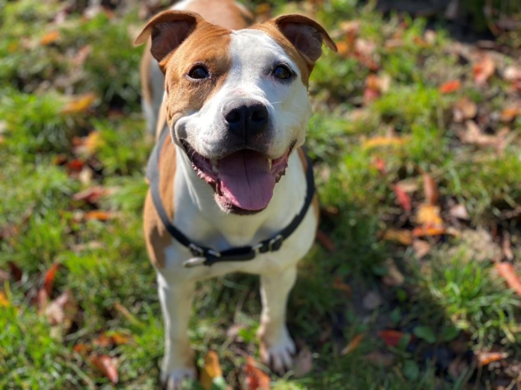 Photo #18 de MaÏnna