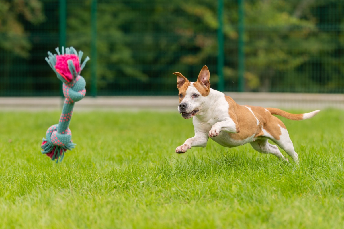 Photo #14 de MaÏnna