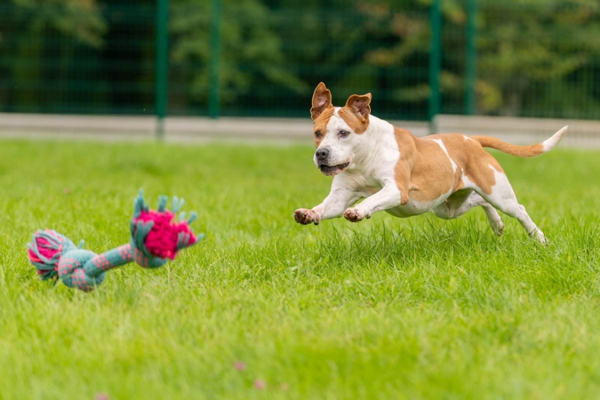 Photo #15 de MaÏnna