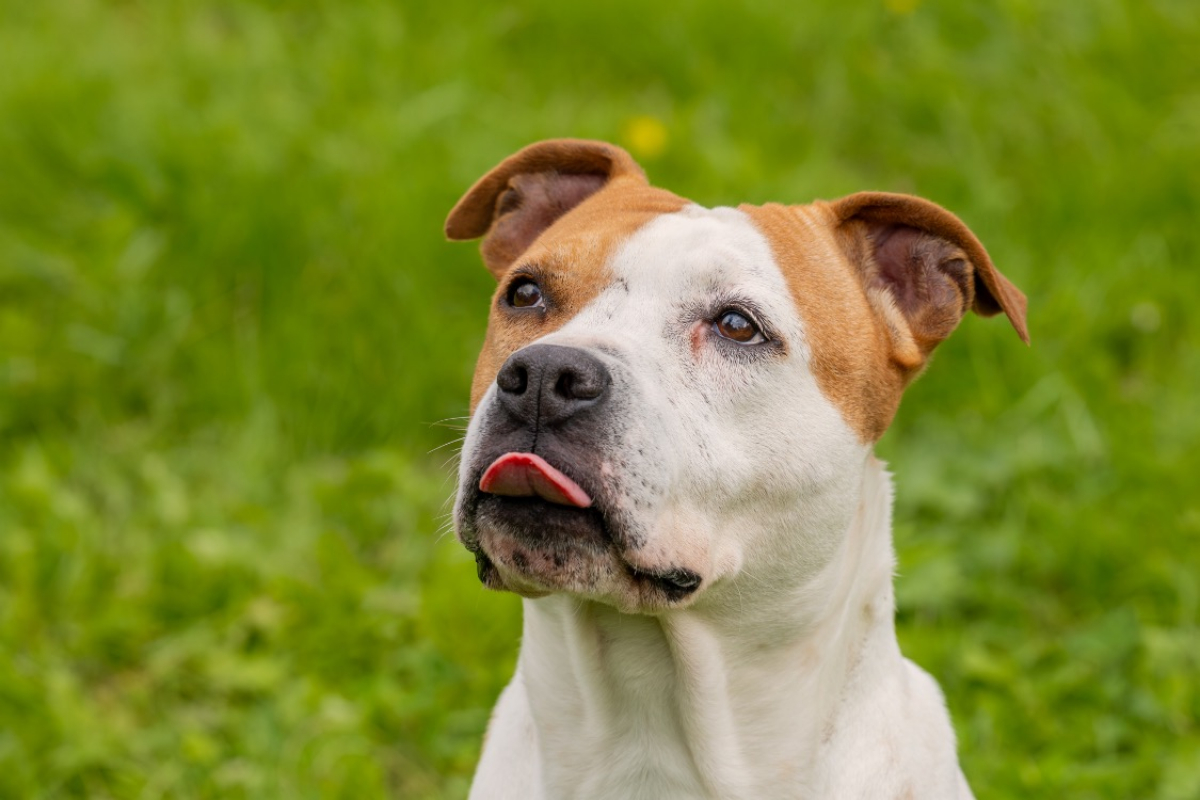 Photo #16 de MaÏnna