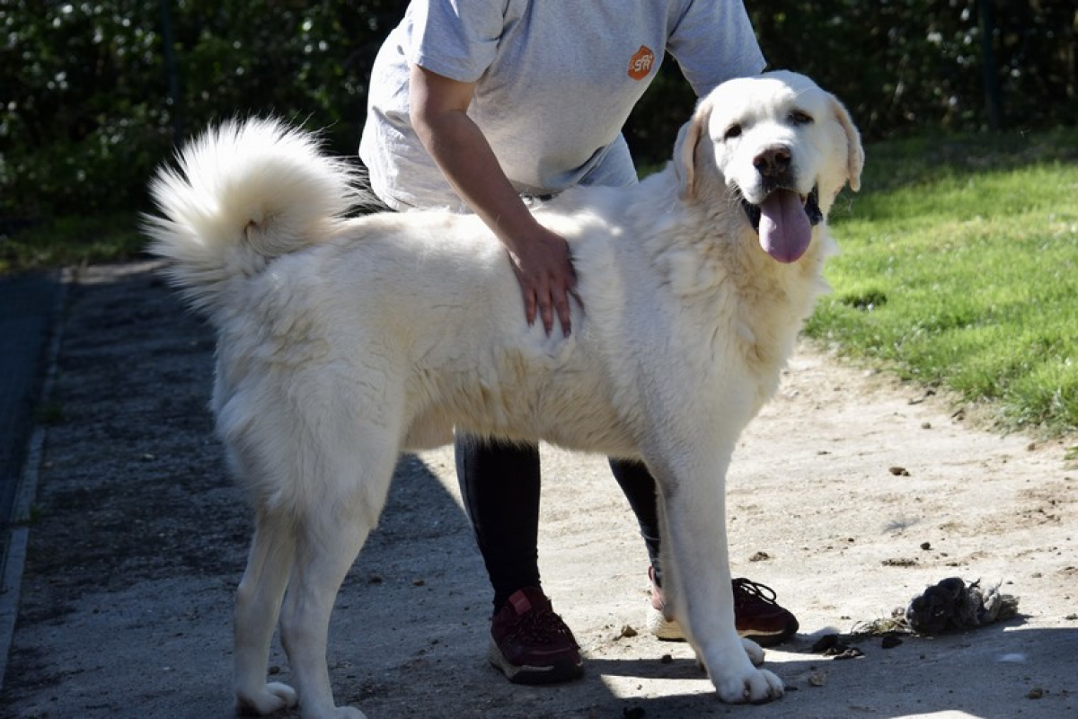 Photo #7 de Helsinki