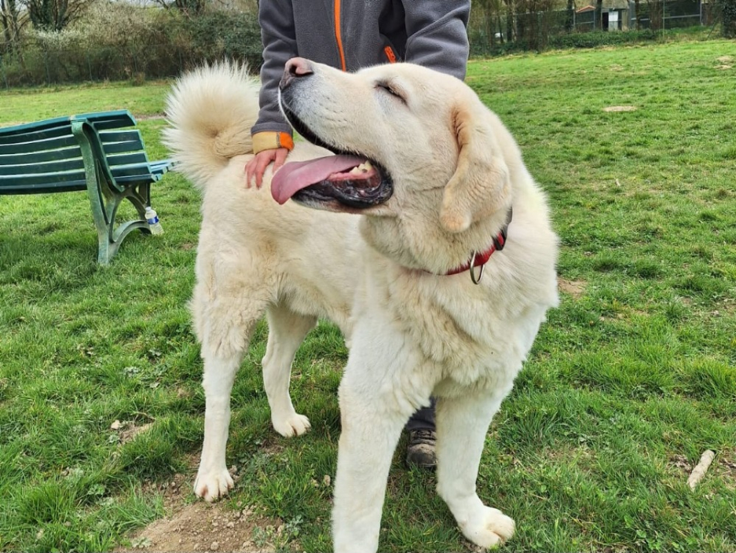 Photo #9 de Helsinki