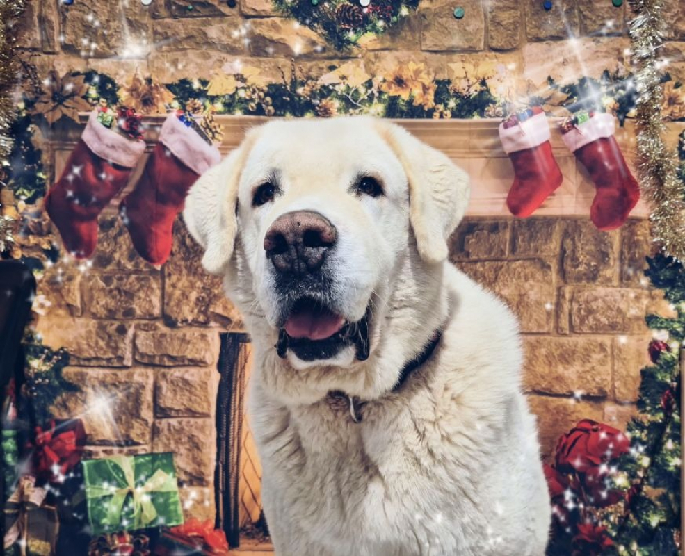 Photo #2 de Helsinki