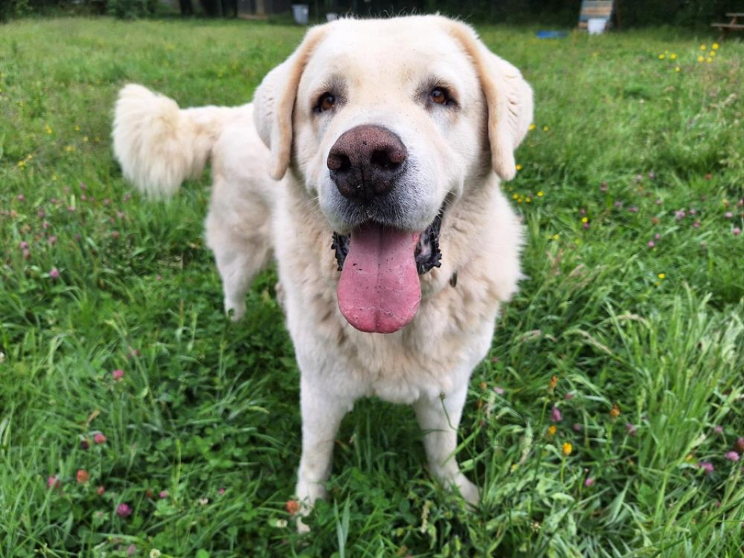 Photo #3 de Helsinki