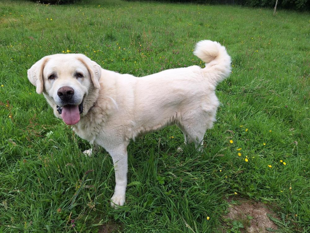 Photo #2 de Helsinki