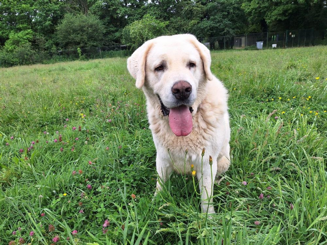 Photo #3 de Helsinki