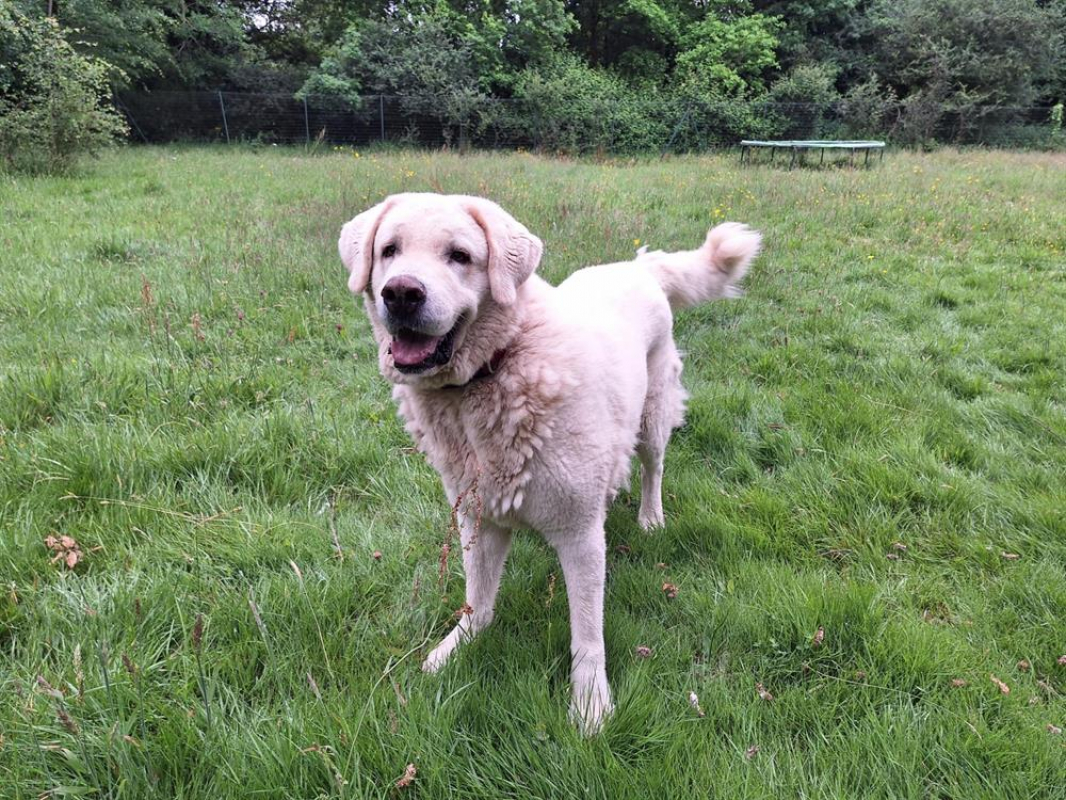 Photo #5 de Helsinki