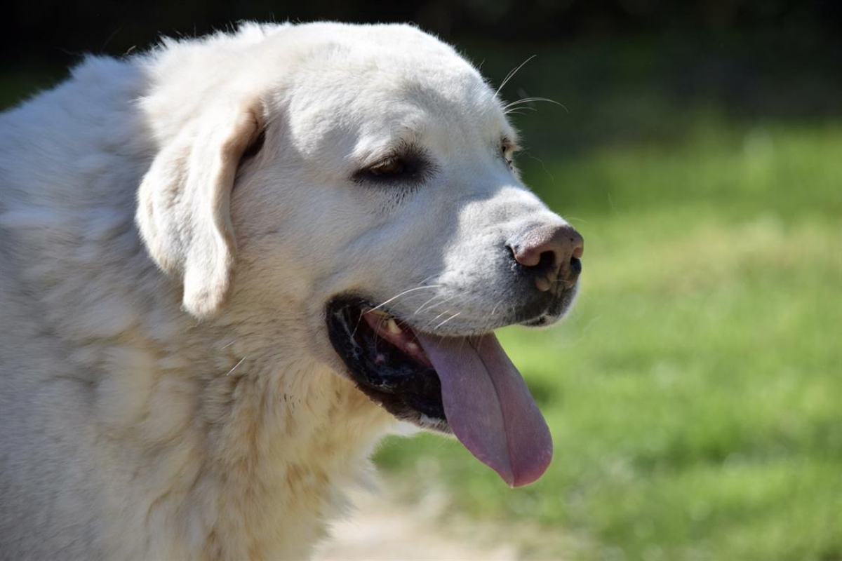 Photo #6 de Helsinki