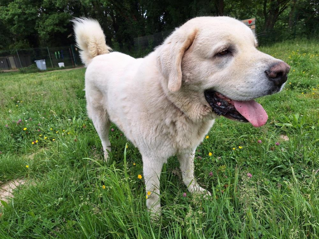 Photo #8 de Helsinki