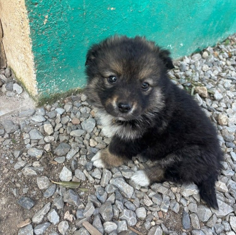 Photo de Floof