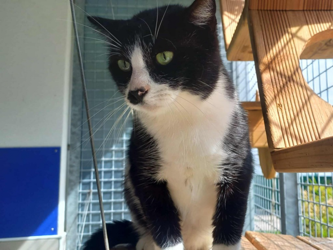 Photo #3 de Beetlejuice