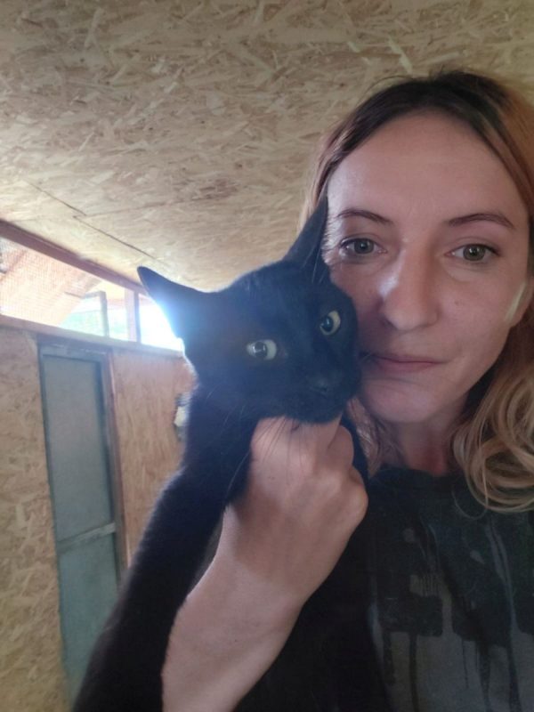 Zach - Chat à adopter - photo 2