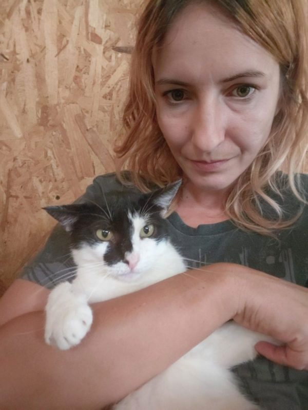 Scarlett - Chat à adopter - photo 2