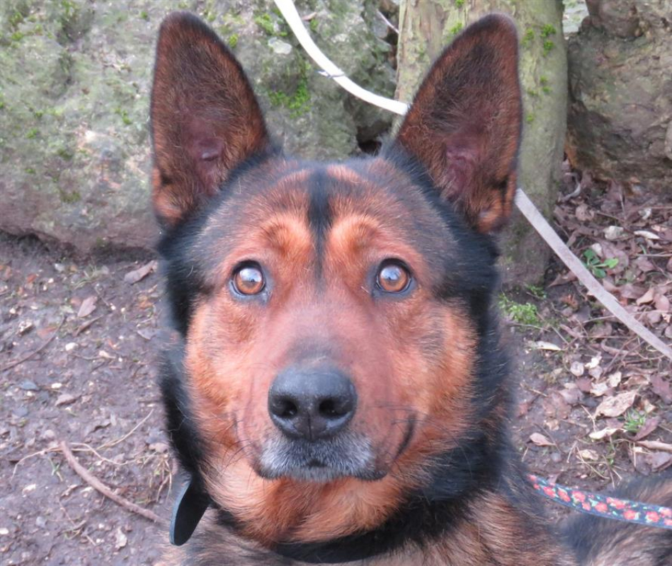 Photo #1 de Brooke dit rakel