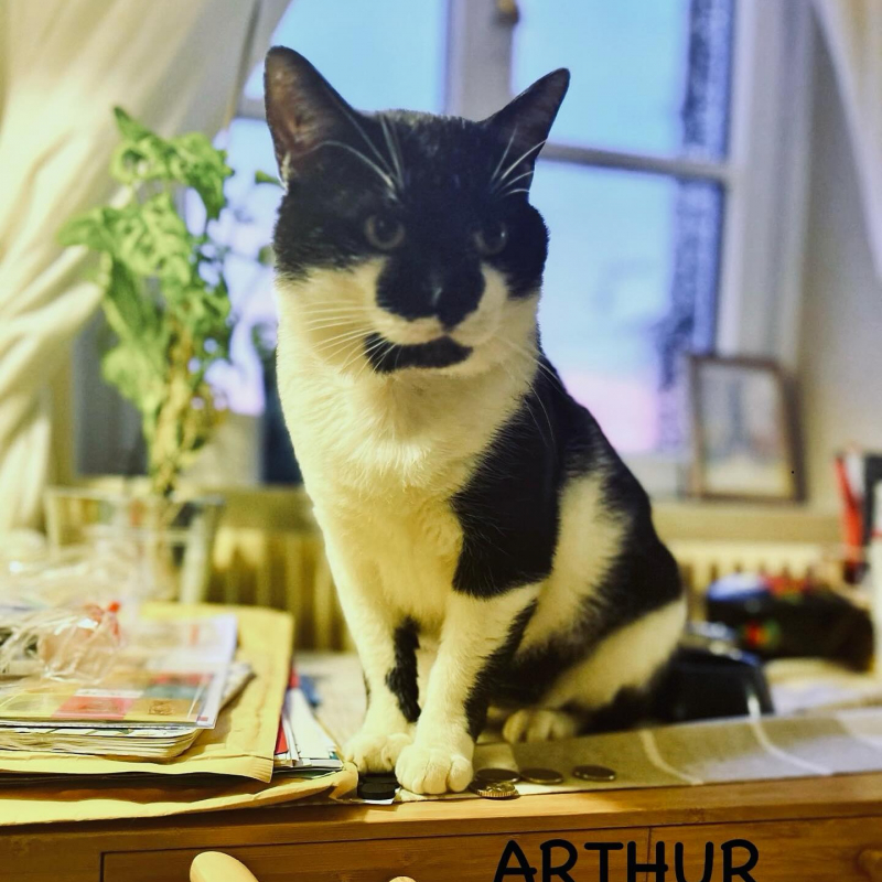 Photo de Arthur