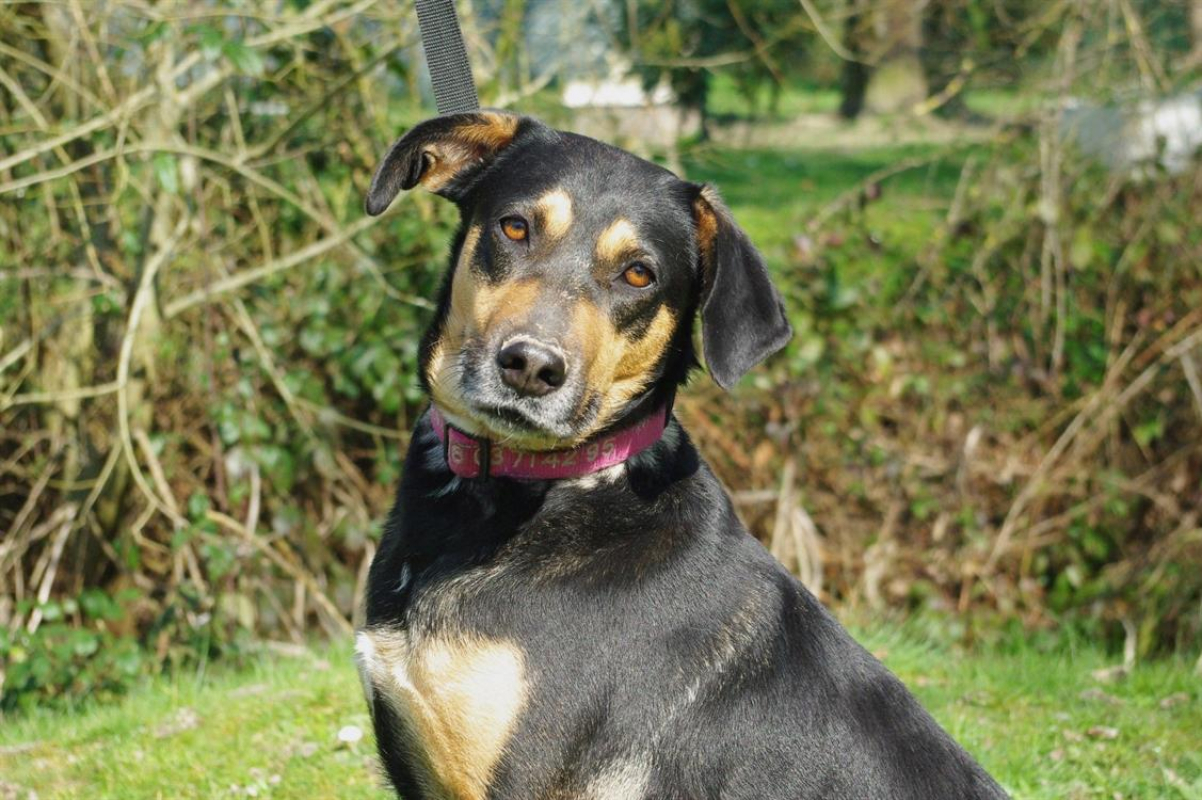 Photo #1 de Nelsonne