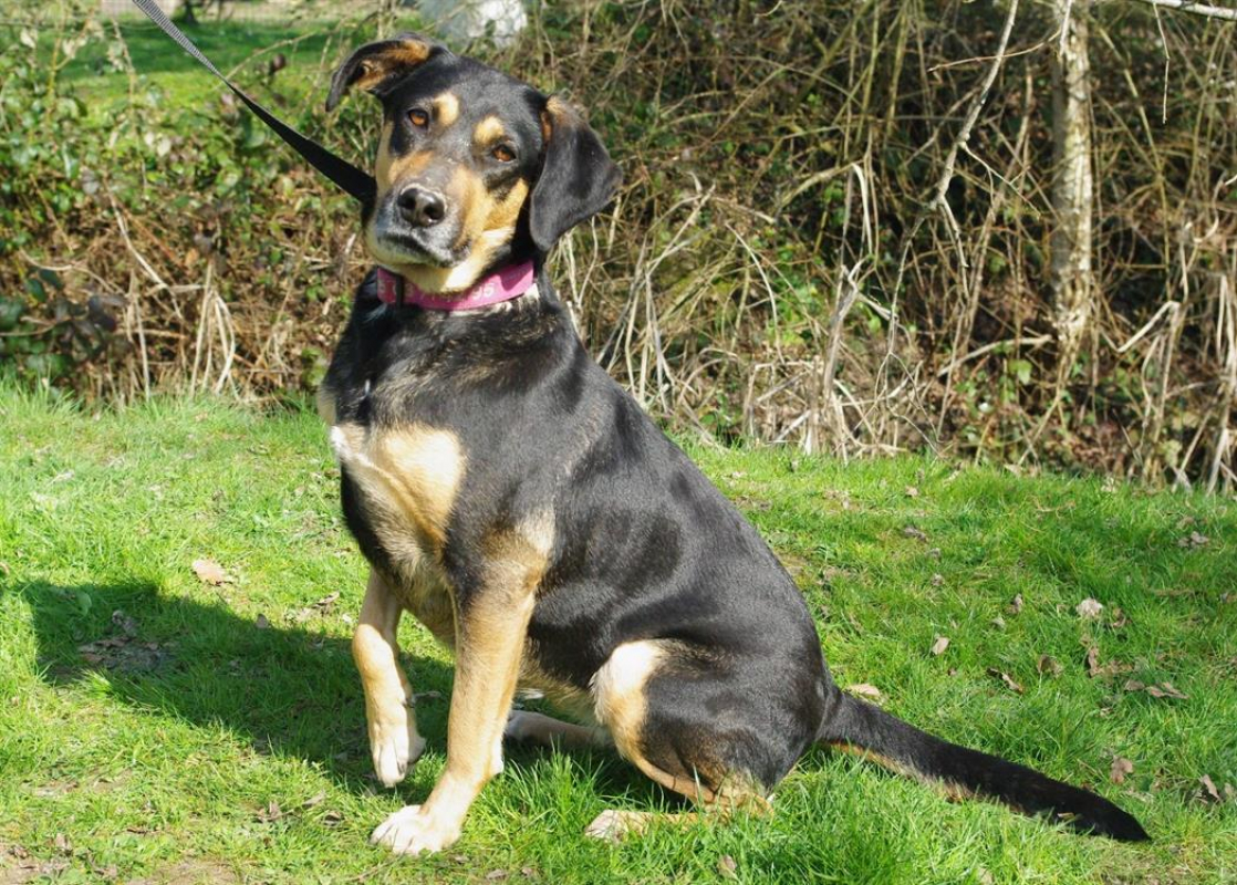 Photo #2 de Nelsonne