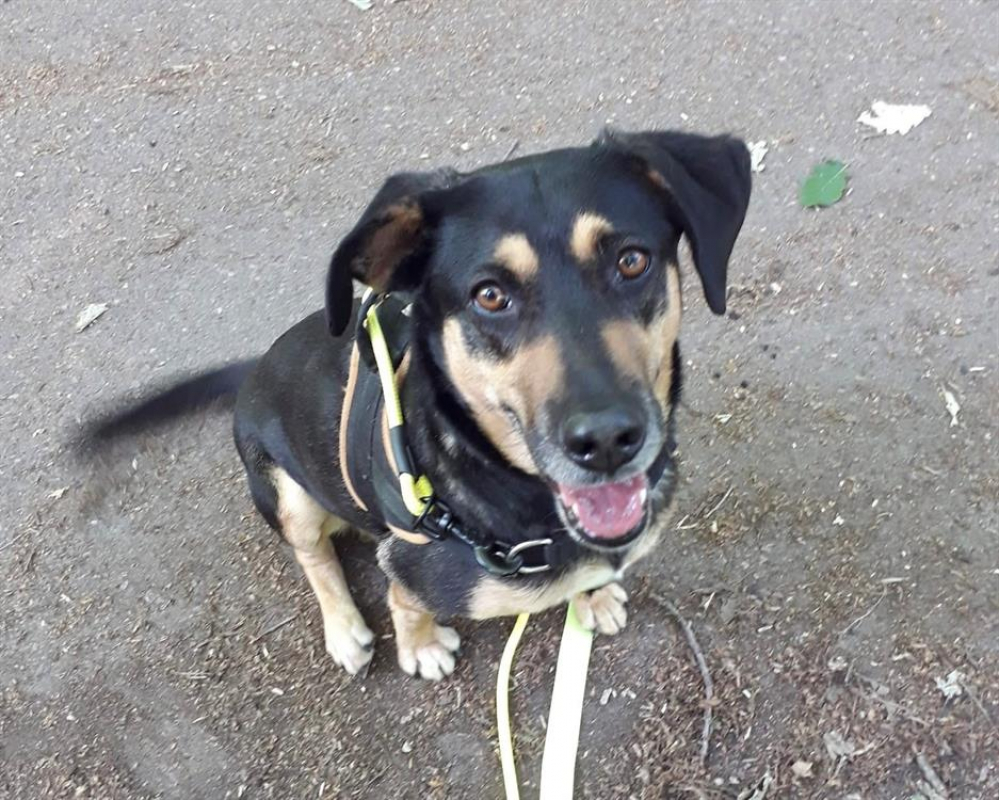 Photo #3 de Nelsonne