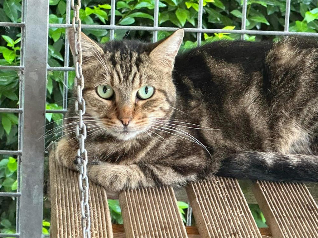 Photo #2 de Poet en sos urgent