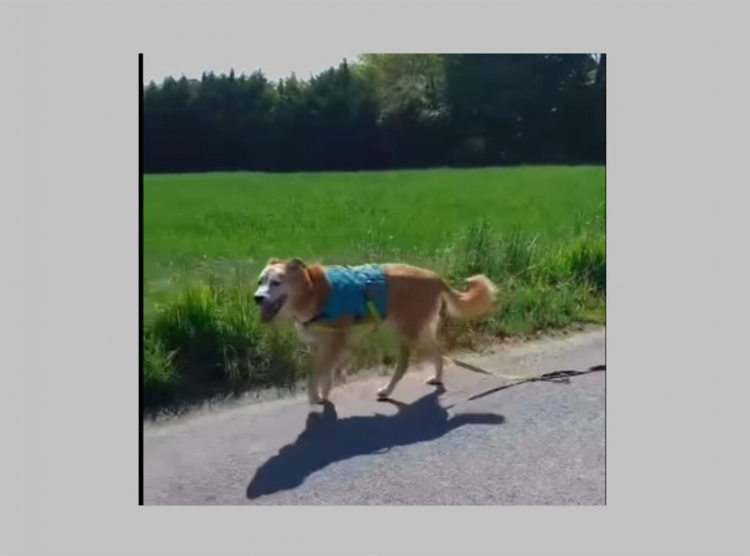 Photo #3 de Rodolphe