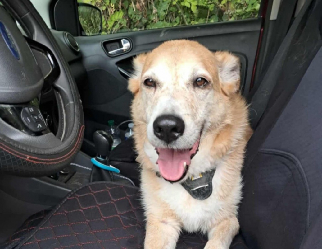 Photo #2 de Rodolphe