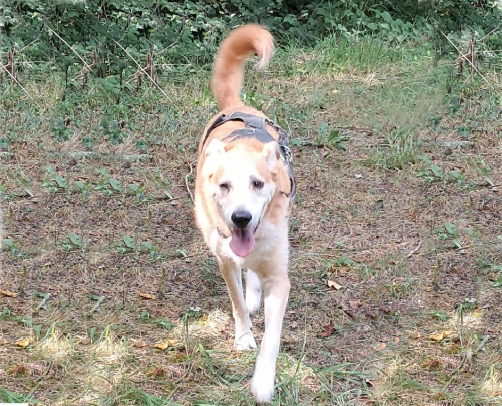 Photo #1 de Rodolphe