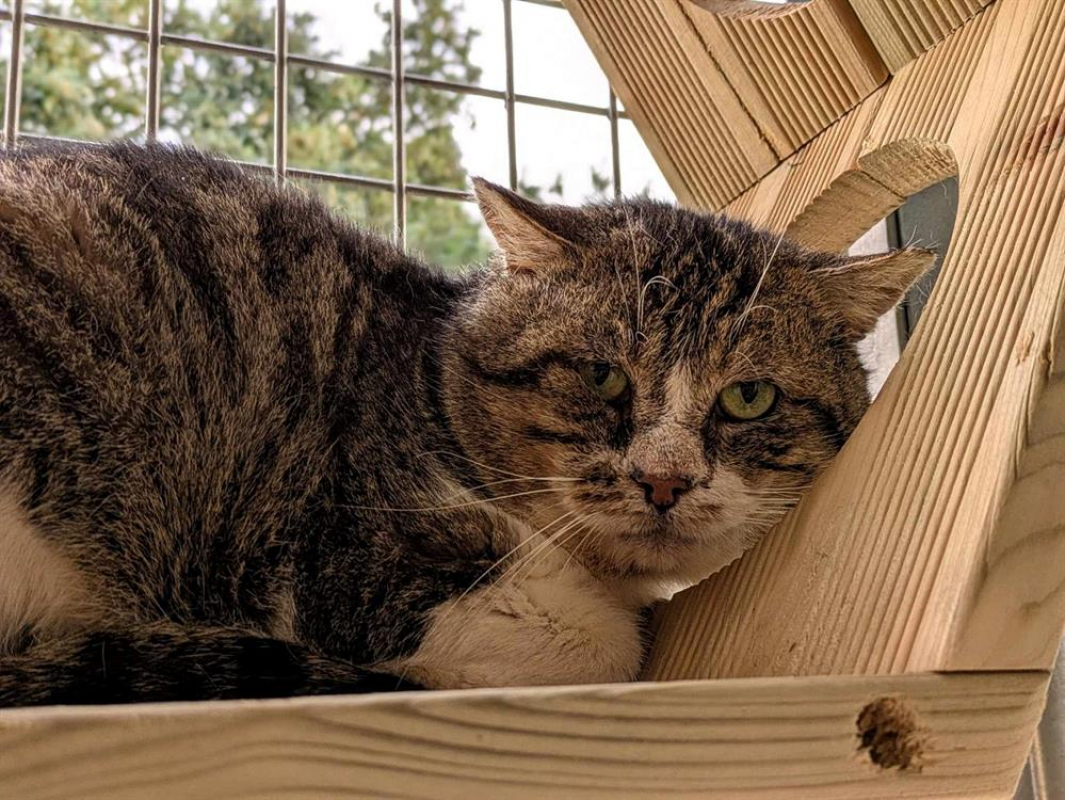 Photo #1 de Apericube