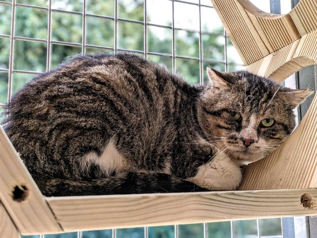 Photo #2 de Apericube