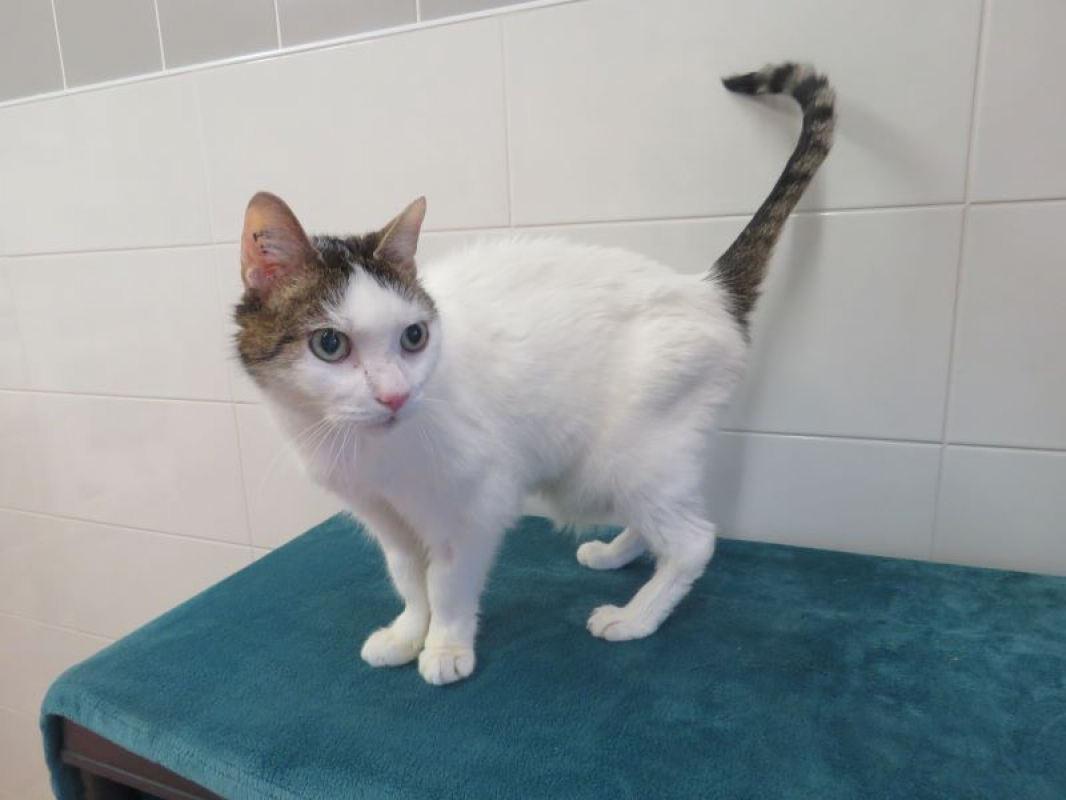 Photo #1 de Zébulon