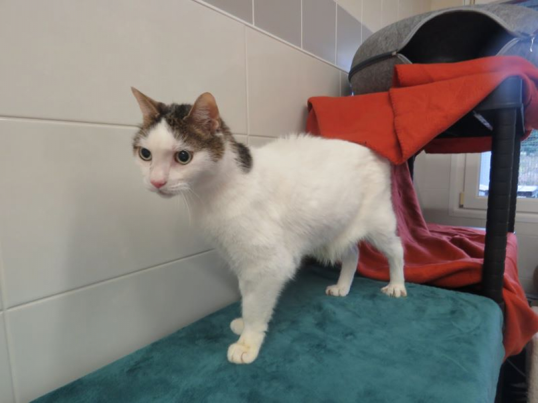 Photo #3 de Zébulon