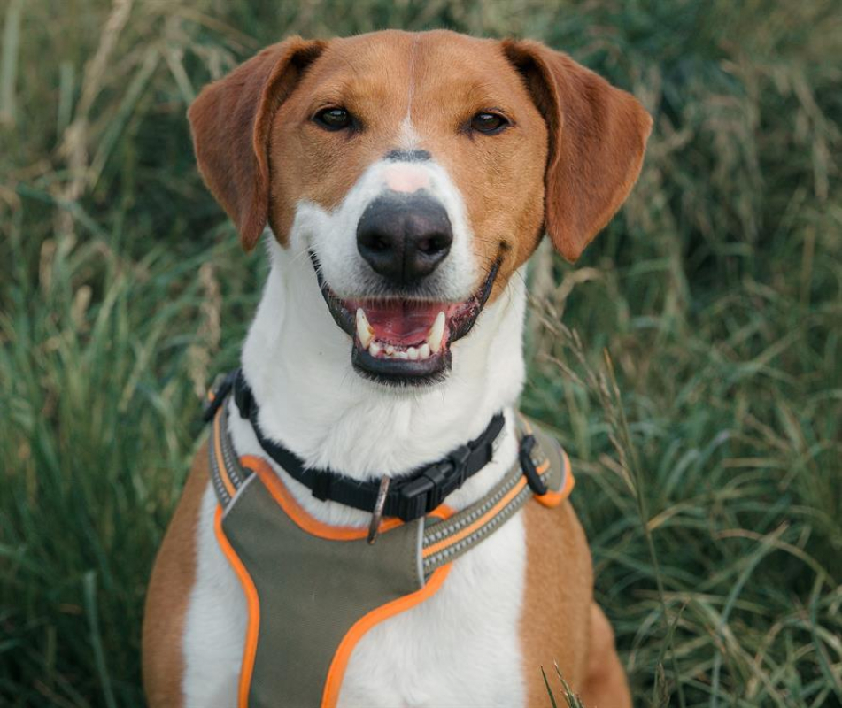 Photo #1 de Samcarlos