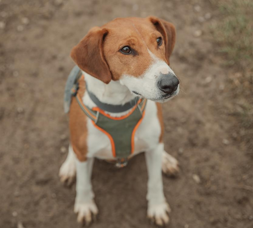 Photo #4 de Samcarlos