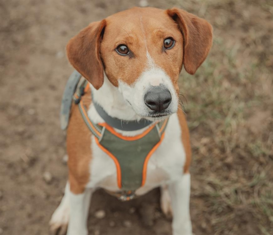 Photo #3 de Samcarlos