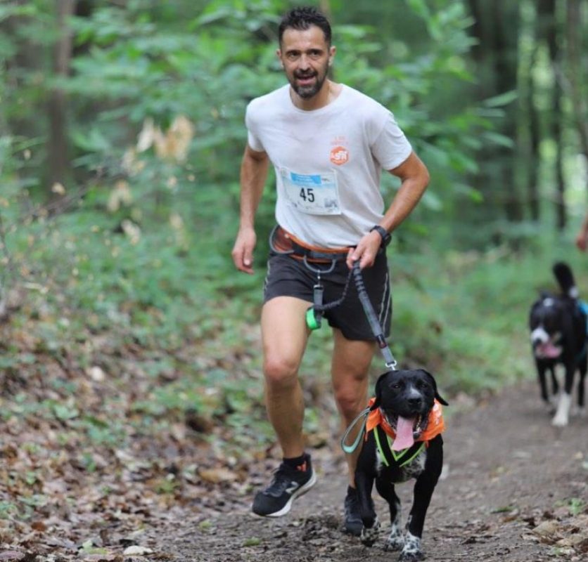 Cassegrain - Chien à adopter - photo 5