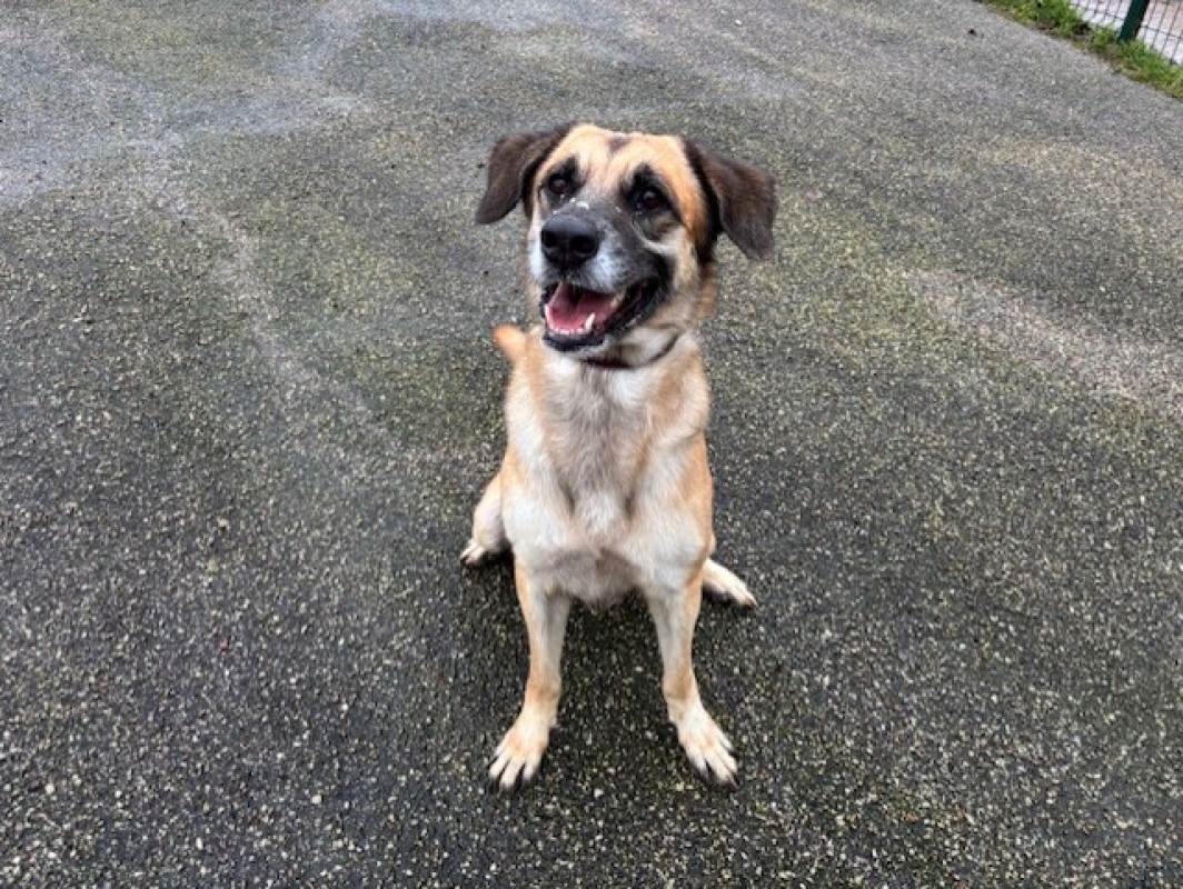 Photo #2 de California