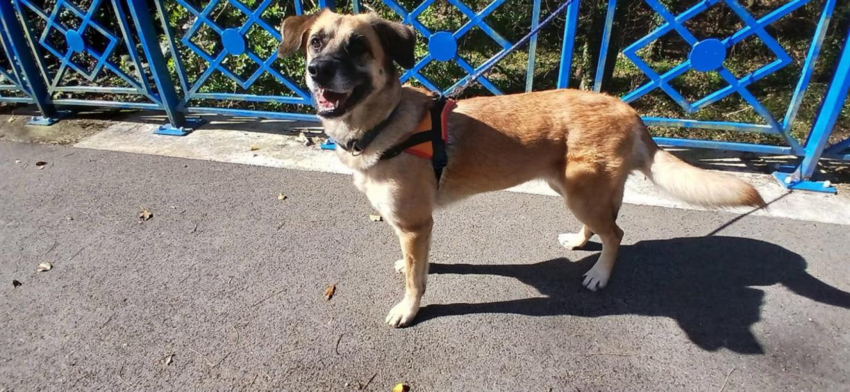 Photo #1 de California